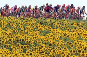 Repetition-Cyclisme-Tdf2001-Carte-Postale Repetition-Cyclisme-Tdf2001-Carte-Postale