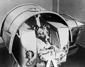 Print of Laika, the Sputnik II space dog, from a 1957 Pravda newspaper