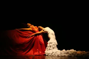 Spanish flamenco dancers perform during the Spanish film director Carlos Saura's Spanish flamenco dancers perform during the Spanish film director Carlos Saura's