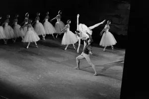 Prints of Soviet born dancer Rudolf Nureyev and British Margot Fonteyn perform Swan lake during the opening of International Dance Festival at the Champs-Elysees theater in Paris on November 6, 1963 Art Prints: Print of Rudolf Nureyev and Margot Fonteyn in Swan Lake performance