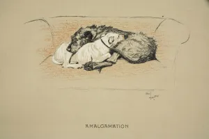 Amalgamation, 1930, 1st Edition of Sleeping Partners, Aldin Amalgamation, 1930, 1st Edition of Sleeping Partners, Aldin
