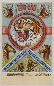 American trade card advertising Zoo-Zoo tobacco (chromolitho) American trade card advertising Zoo-Zoo tobacco (chromolitho)