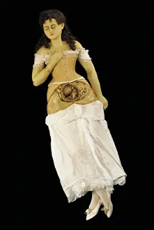 Anatomical model of a pregnant woman (wax & textiles) Anatomical model of a pregnant woman (wax & textiles)