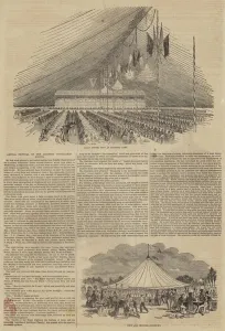 Annual Festival of the Licensed Victuallers School (engraving) Annual Festival of the Licensed Victuallers School (engraving)