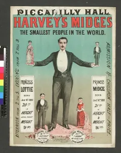 Vintage Theatre Posters UK Prints: Poster advertising Harvey's Midges at Picadilly Hall, London, 1885 (print)