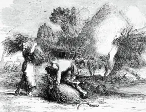 European Farm Life Prints: The stacking of corn