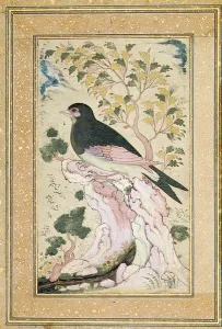 Persian Bird Print, 1684 (Ink on Paper)