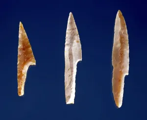 Three serrated points, a flint print from the Solutrean Period