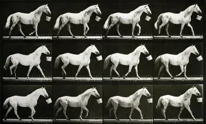 Victorian Era Photographs Prints: Eadweard Muybridge, 1867