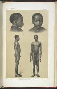 Die Nigritier: Photograph Print, 1876