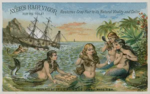 Ayer's Hair Vigor for the Toilet, trade card (chromolitho) Ayer's Hair Vigor for the Toilet, trade card (chromolitho)