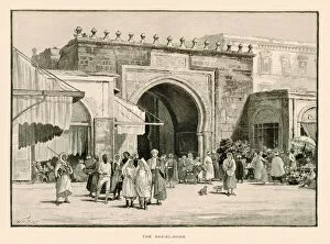 Maps Collection: The Bab-el-Bahr (litho)