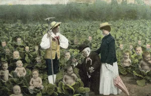 Babies growing in a cabbage field (colour photo) Babies growing in a cabbage field (colour photo)