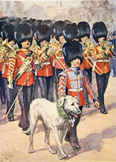 The Band and Mascot of the Irish Guards wearing the Shamrock on St. Patricks Day (colour litho) The Band and Mascot of the Irish Guards wearing the Shamrock on St. Patricks Day (colour litho)