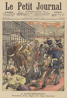 Battle between a tiger and a bull in a bullring in San Sebastian, Spain (colour litho) Battle between a tiger and a bull in a bullring in San Sebastian, Spain (colour litho)