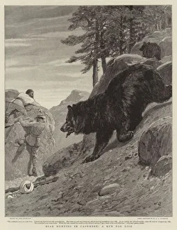 Bear Hunting in Cashmere, a Run for Life (engraving) Bear Hunting in Cashmere, a Run for Life (engraving)