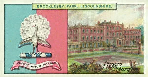 Lincolnshire Collection: Brocklesby