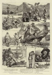 Brown's Experiences of Sheep-Farming in the Highlands (engraving) Brown's Experiences of Sheep-Farming in the Highlands (engraving)