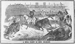 Bull fight in New Orleans, from Davy Crockett's Almanack, Boston Bull fight in New Orleans, from Davy Crockett's Almanack, Boston
