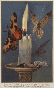Butterflies around a burning candle (chromolitho) Butterflies around a burning candle (chromolitho)