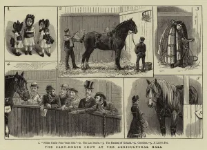The Cart-Horse Show at the Agricultural Hall (engraving) The Cart-Horse Show at the Agricultural Hall (engraving)
