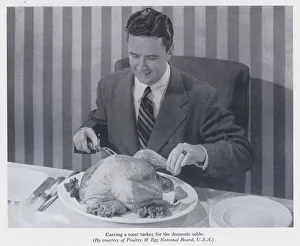 Carving a roast turkey for the domestic table (b/w photo) Carving a roast turkey for the domestic table (b/w photo)