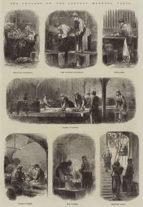 The Cellars of the Central Markets, Paris (engraving) The Cellars of the Central Markets, Paris (engraving)