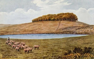 Chanctonbury Ring, and Dew Pond, s Downs (colour litho)