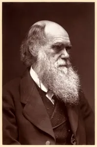 Charles Darwin: English naturalist (b/w photo) Charles Darwin: English naturalist (b/w photo)