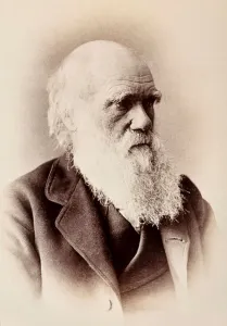 Charles Darwin: English naturalist (b/w photo) Charles Darwin: English naturalist (b/w photo)