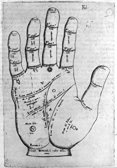 Chiromancy and divinatory prediction: representation of the different lines of the hand Chiromancy and divinatory prediction: representation of the different lines of the hand