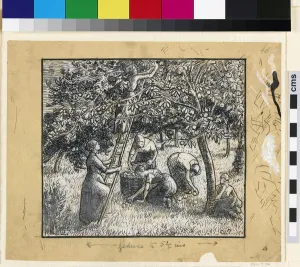 Compositional study of female peasants harvesting apples Compositional study of female peasants harvesting apples