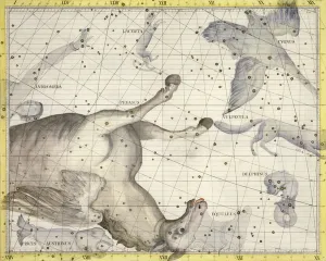 Constellation of Pegasus, plate 25 from Atlas Coelestis Constellation of Pegasus, plate 25 from Atlas Coelestis