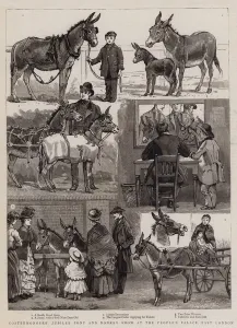 Costermongers Jubilee Pony and Donkey Show at the People's Palace, East London (engraving) Costermongers Jubilee Pony and Donkey Show at the People's Palace, East London (engraving)