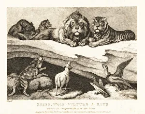 A courtcase between animals, with lion and tiger as judges. 1811 (etching) A courtcase between animals, with lion and tiger as judges. 1811 (etching)