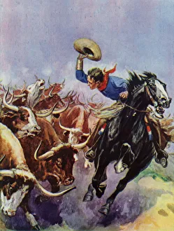 Cowboy riding alongside a stampeding herd of cattle (colour litho) Cowboy riding alongside a stampeding herd of cattle (colour litho)