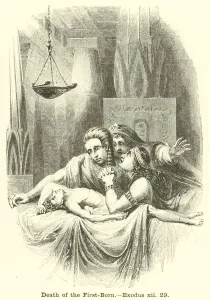Death of the First-Born, Exodus, xii, 29 (engraving) Death of the First-Born, Exodus, xii, 29 (engraving)