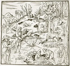 The Divining Rod, from Bergwerk Buch by Georg Agricola, Frankfurt 1580 The Divining Rod, from Bergwerk Buch by Georg Agricola, Frankfurt 1580