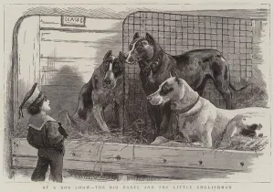 At a Dog Show, the Big Danes and the Little Englishman (engraving) At a Dog Show, the Big Danes and the Little Englishman (engraving)