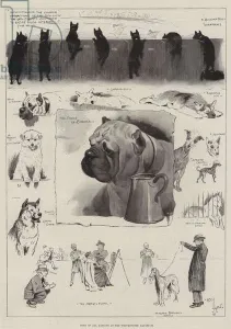 Dogs of All Nations at the Westminster Aquarium (litho) Dogs of All Nations at the Westminster Aquarium (litho)