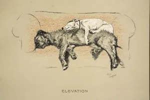 Elevation, 1930, 1st Edition of Sleeping Partners, Aldin Elevation, 1930, 1st Edition of Sleeping Partners, Aldin
