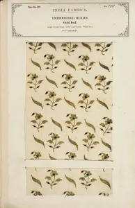 Embroidered muslin sample from Madras, from The Collection of the Textile Embroidered muslin sample from Madras, from The Collection of the Textile