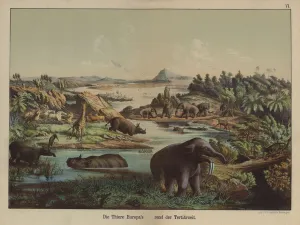 European animals of the Tertiary Period (colour litho) European animals of the Tertiary Period (colour litho)