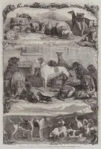 The Exhibition of Sporting and other Dogs at the Horse Repository, Holborn, Prize Animals (engraving) The Exhibition of Sporting and other Dogs at the Horse Repository, Holborn, Prize Animals (engraving)