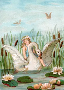 Fairy Riding a White Swan Among Cattails and Lilypads, 1882 (chromolithograph) Fairy Riding a White Swan Among Cattails and Lilypads, 1882 (chromolithograph)