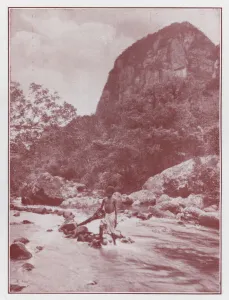Fiji: A Trout Stream in the Mountains (b/w photo) Fiji: A Trout Stream in the Mountains (b/w photo)