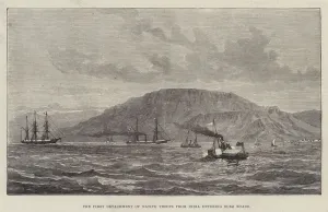 The First Detachment of Native Troops from India entering Suez Roads (engraving) The First Detachment of Native Troops from India entering Suez Roads (engraving)