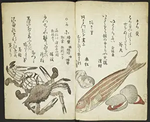 Invertebrate Animals Prints: Fis h, shell fish and crabs