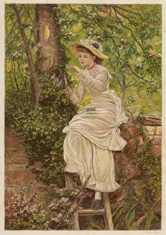 The foster mother: young woman feeding orphaned bird chicks in a nest (colour litho) The foster mother: young woman feeding orphaned bird chicks in a nest (colour litho)