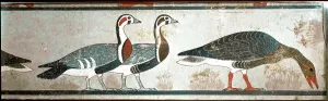 Geese, detail of a panel from the Mastaba of Itet, wife of Nefermaat Geese, detail of a panel from the Mastaba of Itet, wife of Nefermaat